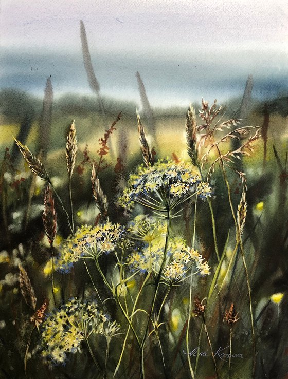 Wildflower meadow
