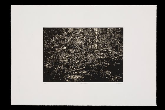 FIRST MEADOW