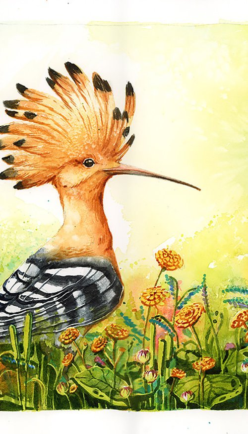 Hoopoe by Karolina Kijak
