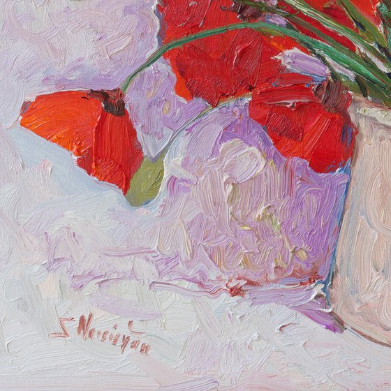 Wild Poppies on the White Background