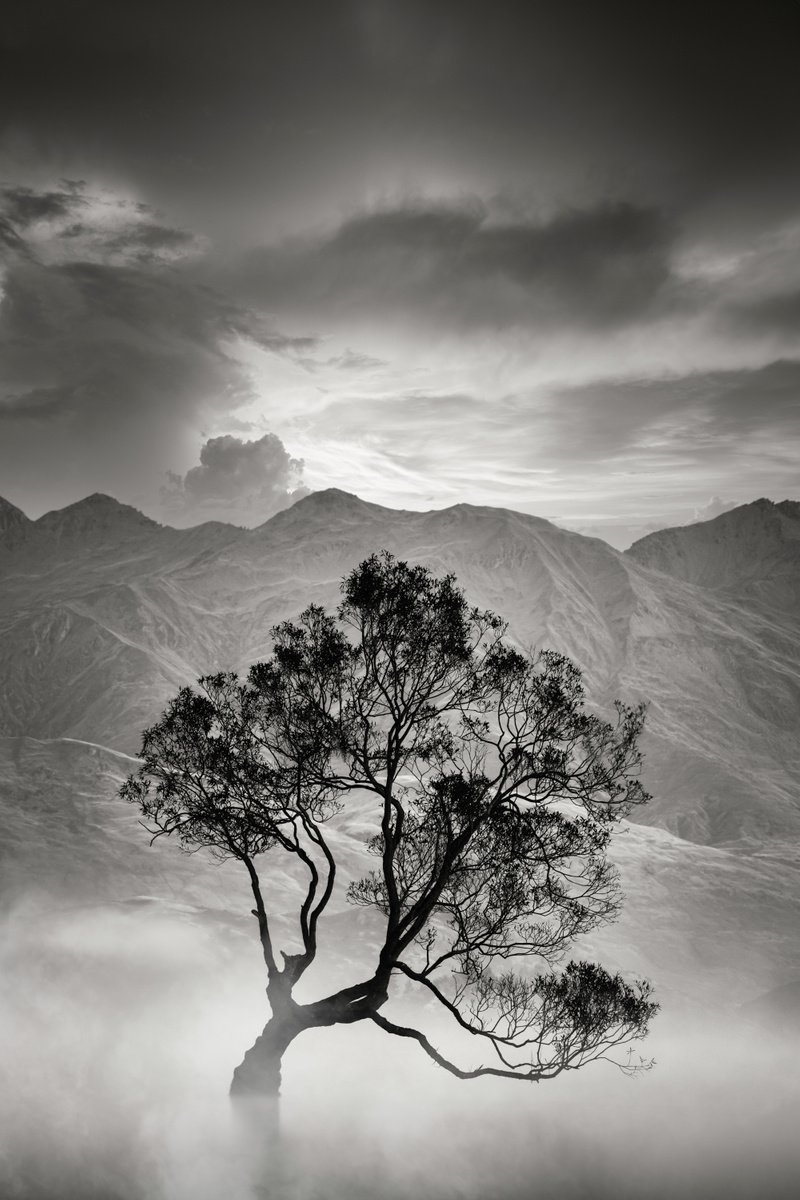 FINDING INSPIRATION...Ready to hang, limited edition photograph made in Lake Wanaka, New Z... by Harv Greenberg