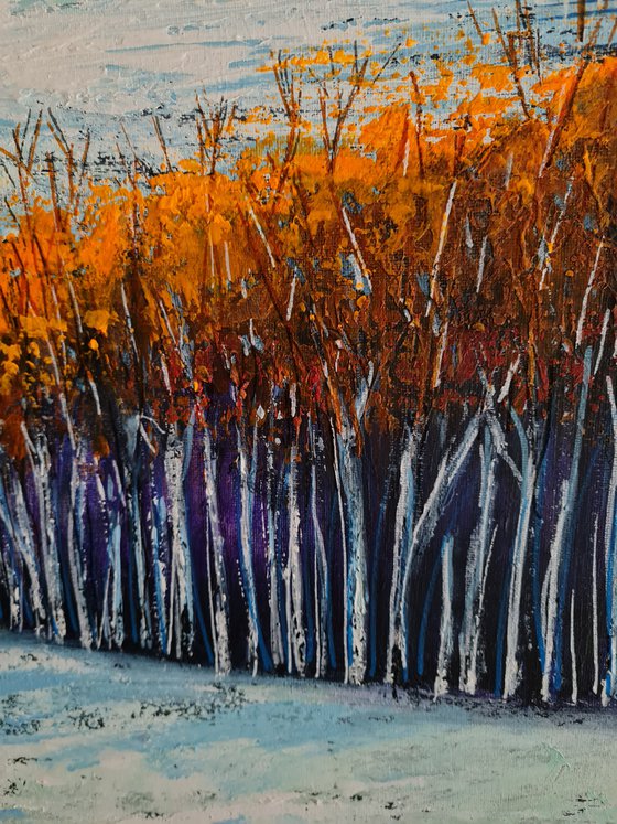 Aspen Winter Study- Fields and Colors Series