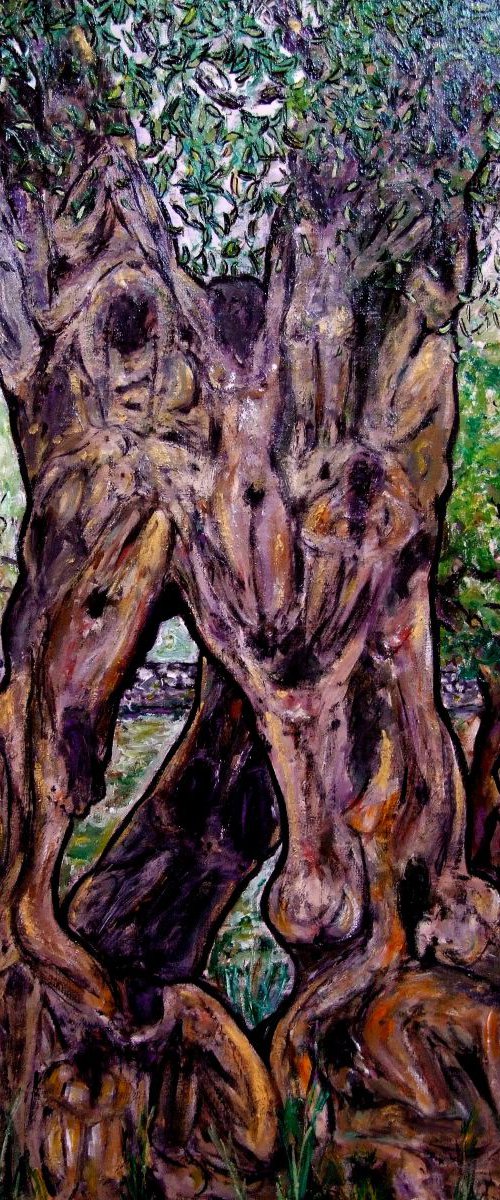 the olive tree by antonio maggio carluccio