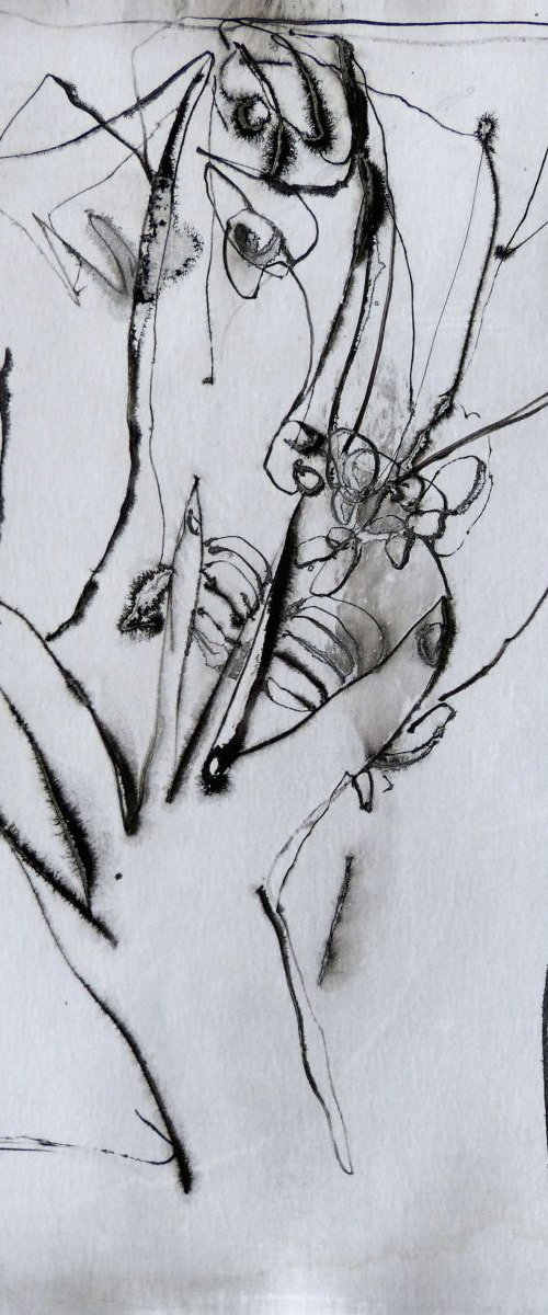 Florist, Ink on Paper 41x29 cm by Frederic Belaubre