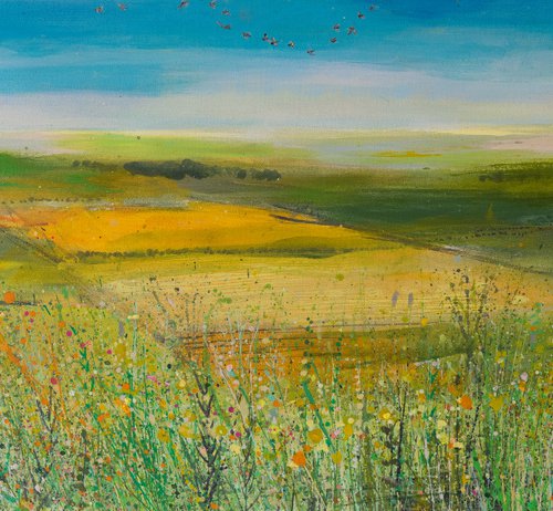 Farm and Farmland by Sandy Dooley