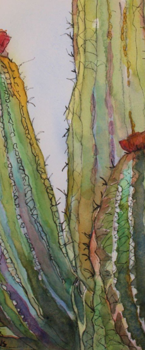 Cactus Flower by Bronwen Jones