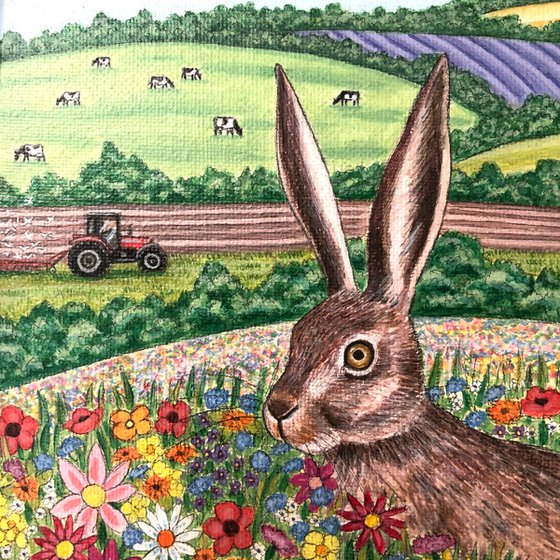 Hare in Wildflower Meadow