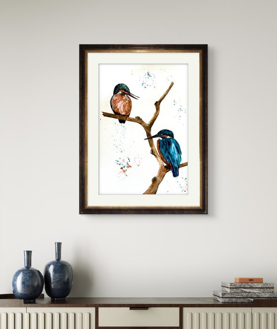 A pair of Kingfisher Birds