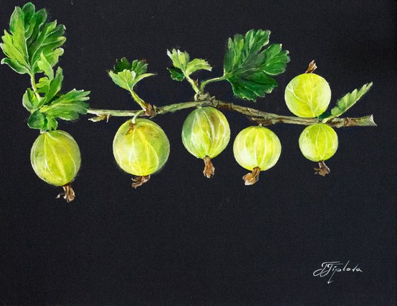 "FRUITS ON A GRAY BACKGROUND"