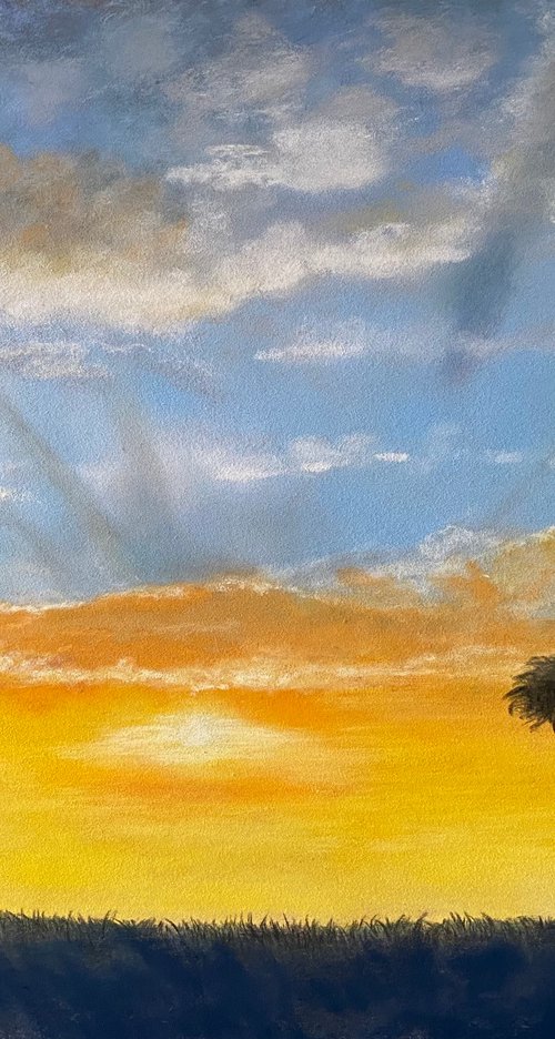 Sunset by Maxine Taylor