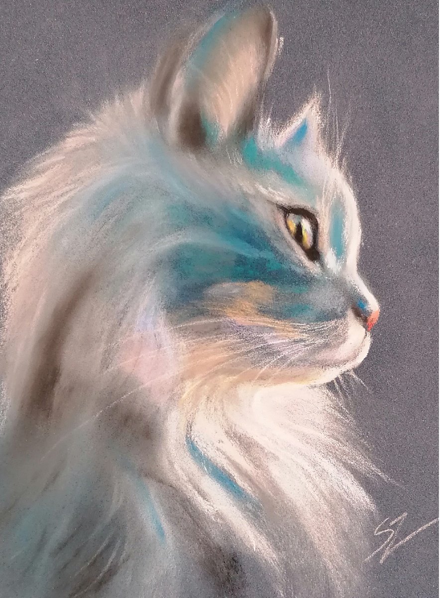 Impressionistic Animal Painting By Susana Z. Harris, 7 X 9", Frost, Cat