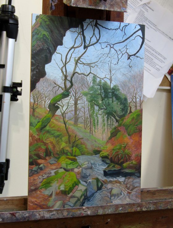 Lamb Woods