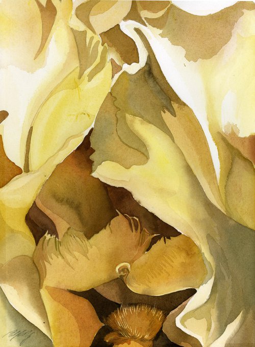 shades of yellow watercolor floral by Alfred  Ng