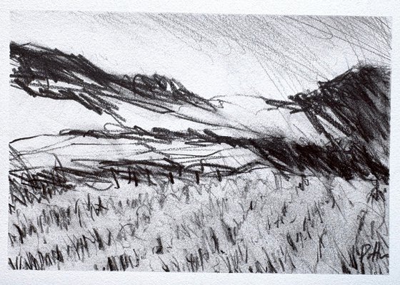 Pennsylvania Fields 4
