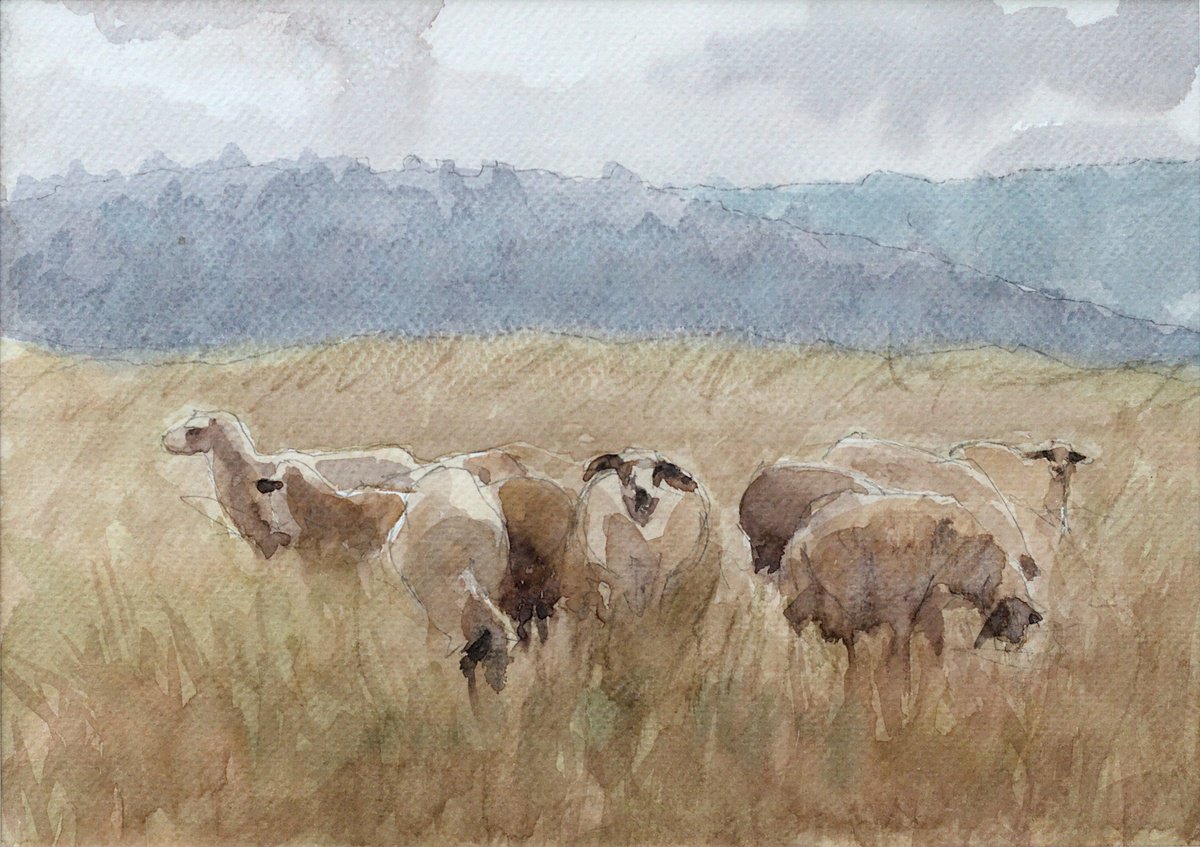 Impressionistic Animal Watercolour By Dejan Trajkovic, 16 X 13, Sheep, Original Artwork