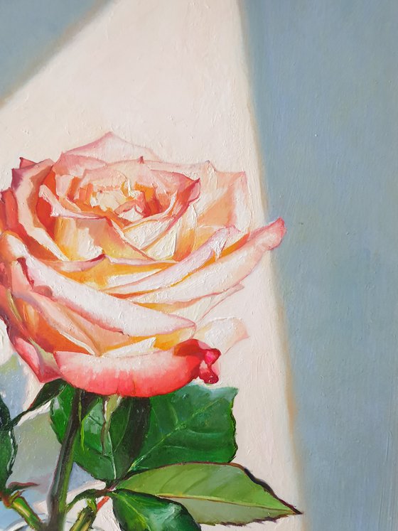 "Tenderness and a little passion. " rose painting 2021