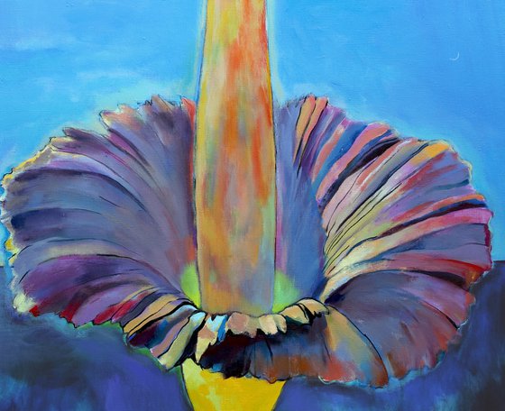 Amorphophallus Titanum