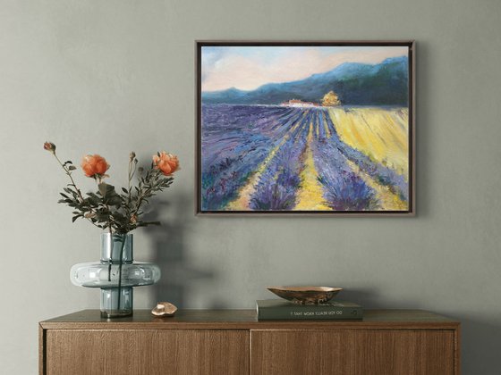 French Lavender Fields