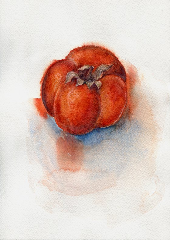 Watercolor persimmon