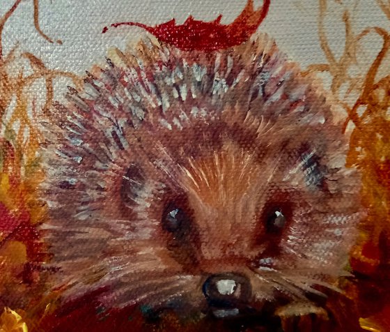 Autumnal Hedgehogs