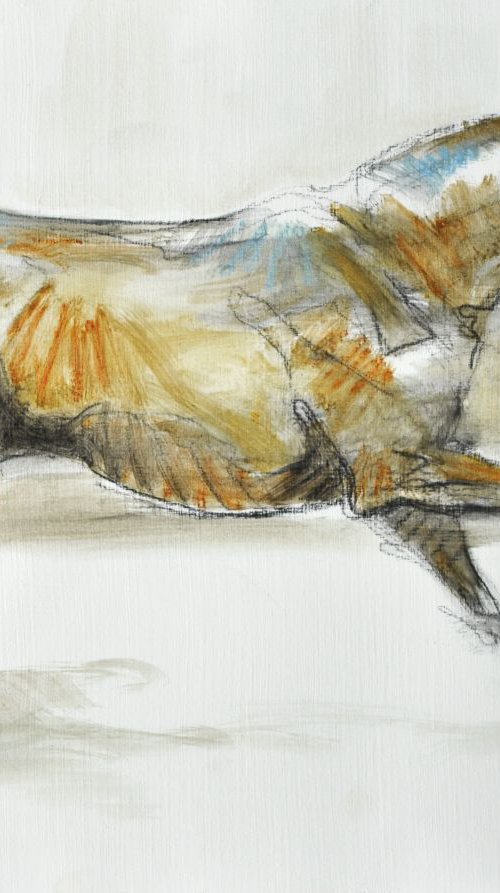 Galop 1 by Benedicte Gele