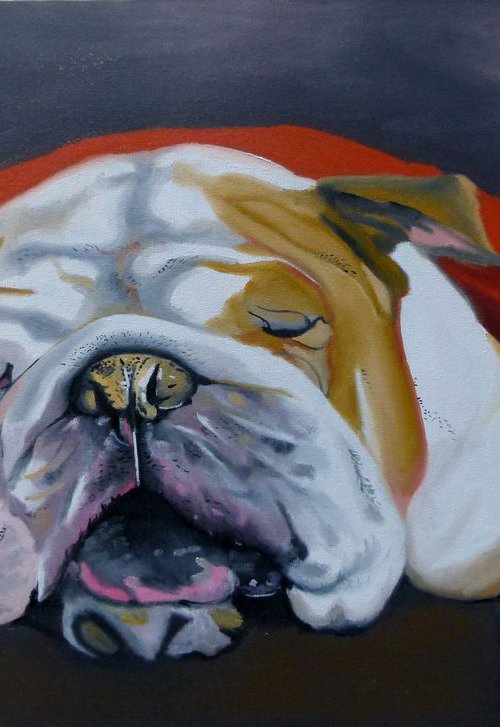 Bulldog by Soso Kumsiashvili
