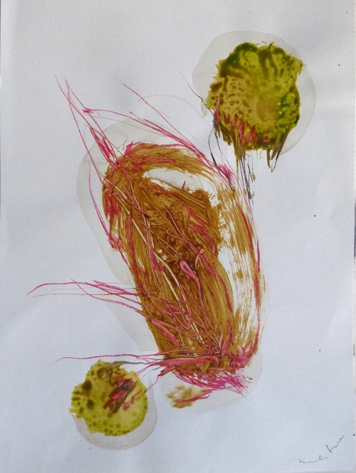 Vegetable Abstract, 24x32 cm by Frederic Belaubre