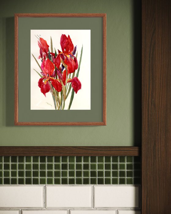 Red Irises