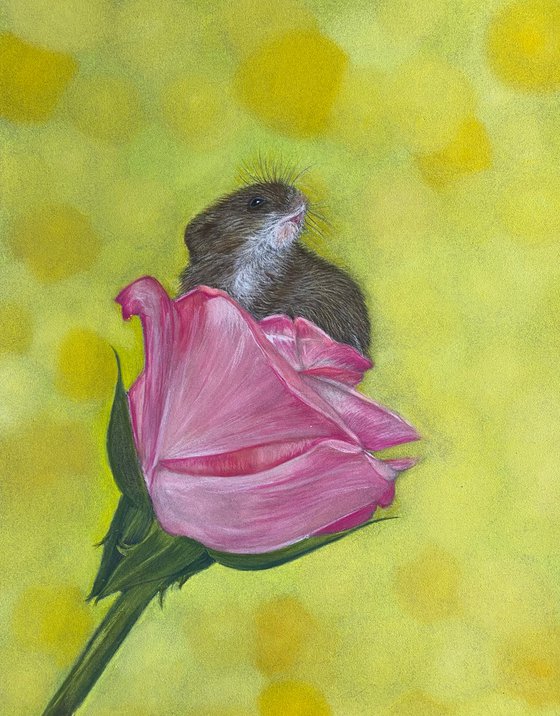 Mouse in rose