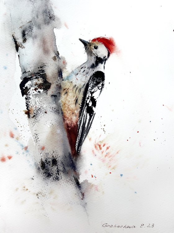 Woodpecker on a tree
