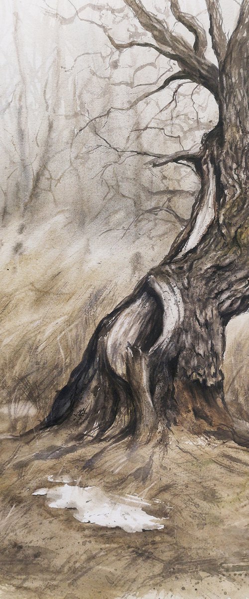 Old oak tree in early winter by Olga Beliaeva Watercolour
