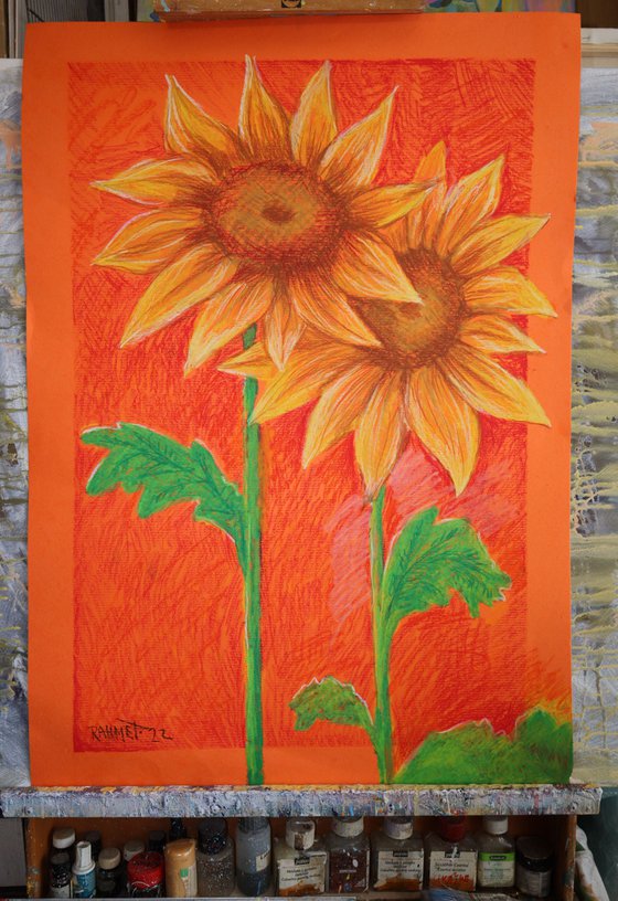 Two Sunflowers