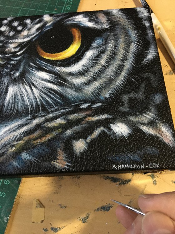 Spotted Eagle Owl Eyes