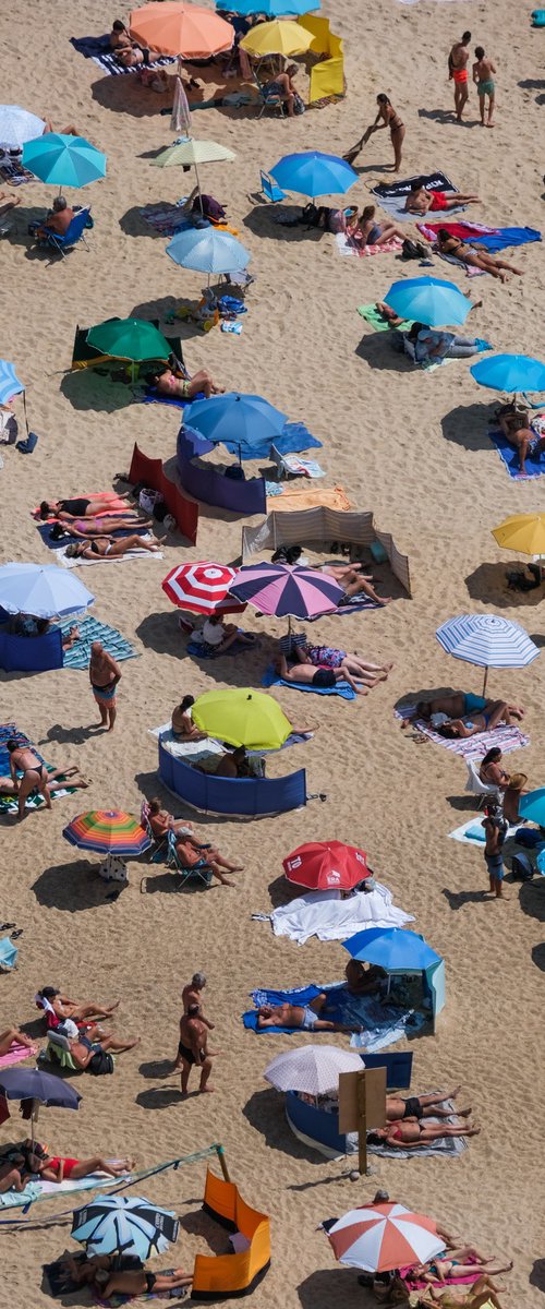 Summer Geometric by Gilliard Bressan