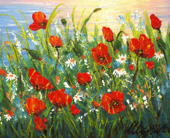 Sunset seascape and poppies