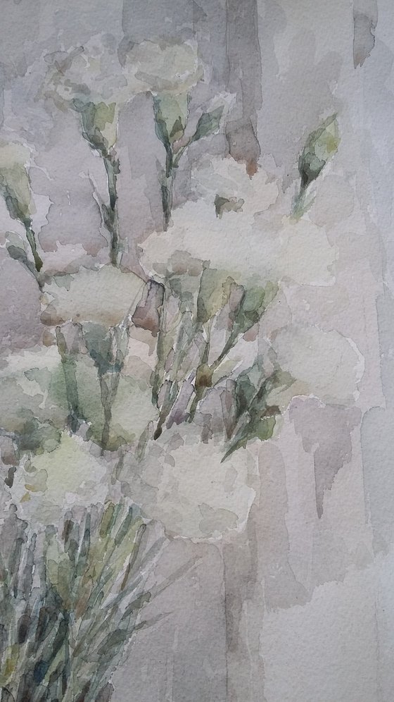 White carnations. Original watercolour painting.