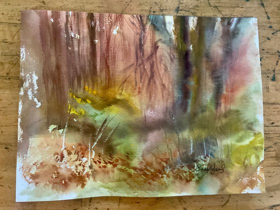 King Alfred’s Tower woodland, Somerset