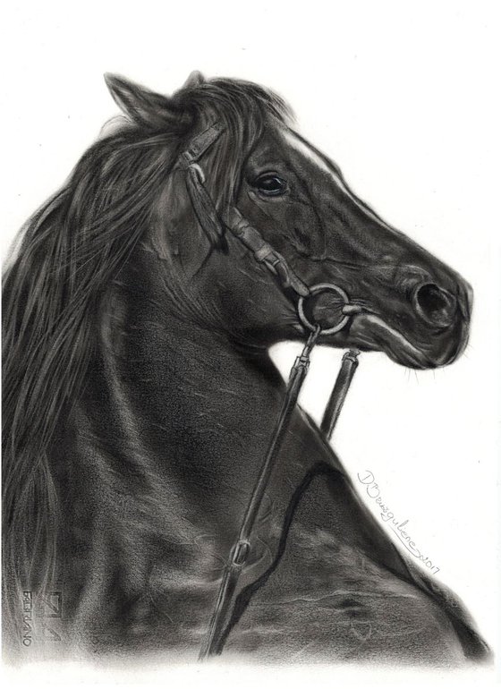 Oil painting ,,  Horse ARTAX,,