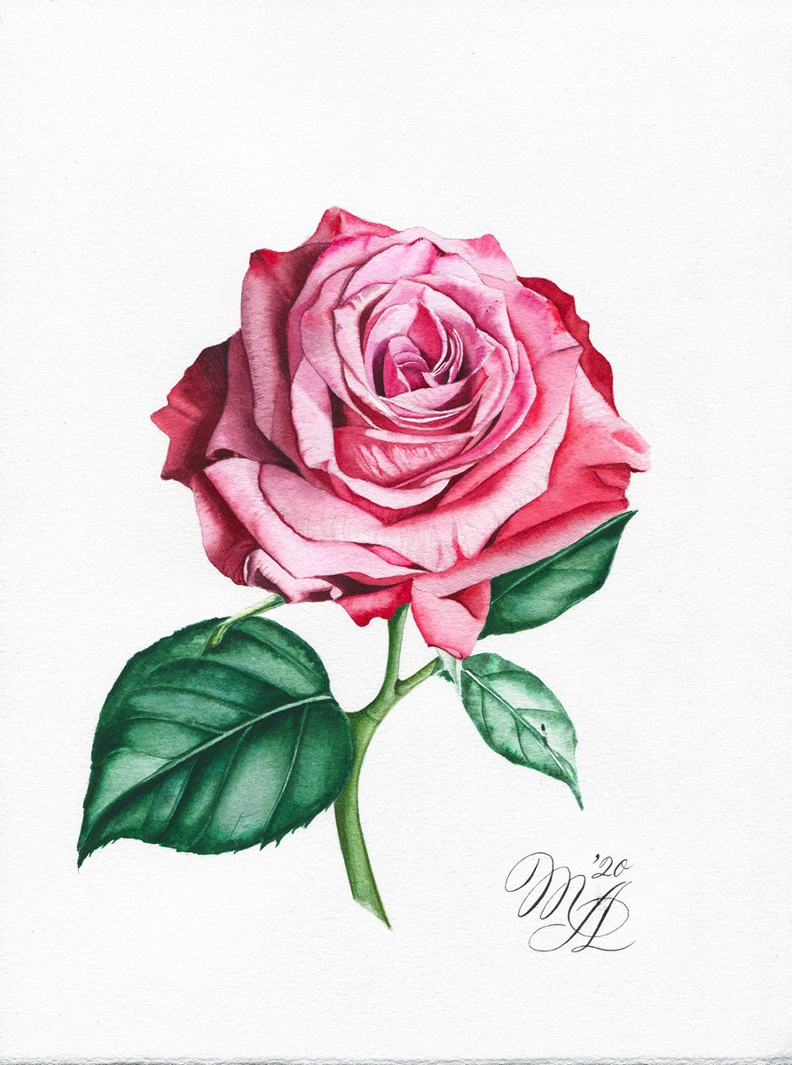Rose by Maiia Axton Studio