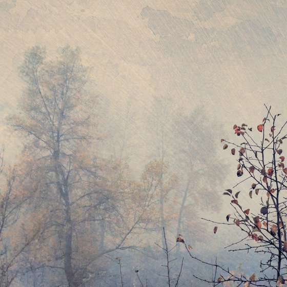"In the mist of autumn". Scene 3