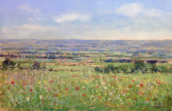 Fields near Sisteron