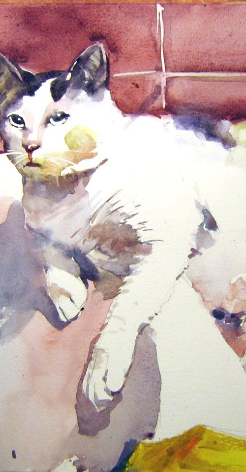 Cat in the bathroom by Goran Žigolić Watercolors