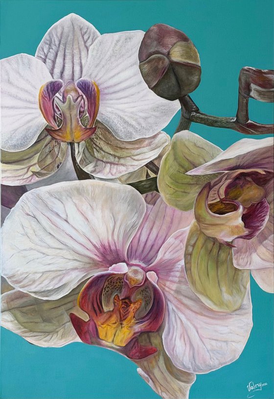 Electric Orchid