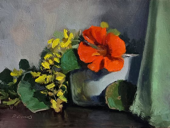 Laburnum and Nasturtium