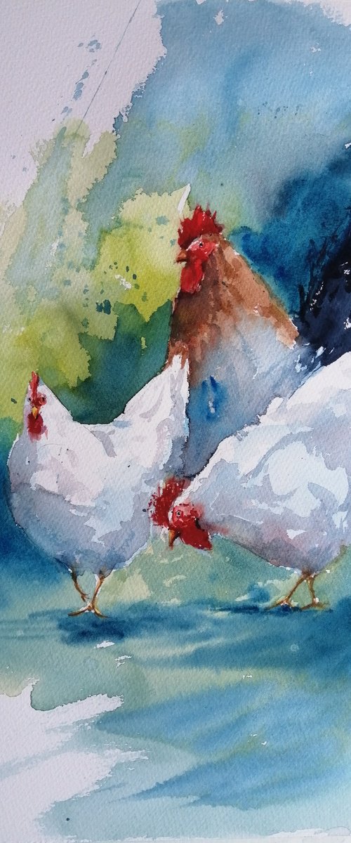 roosters and hens 8 by Giorgio Gosti