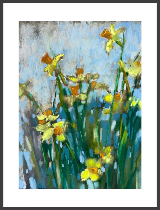 Spring flowers. Daffodils