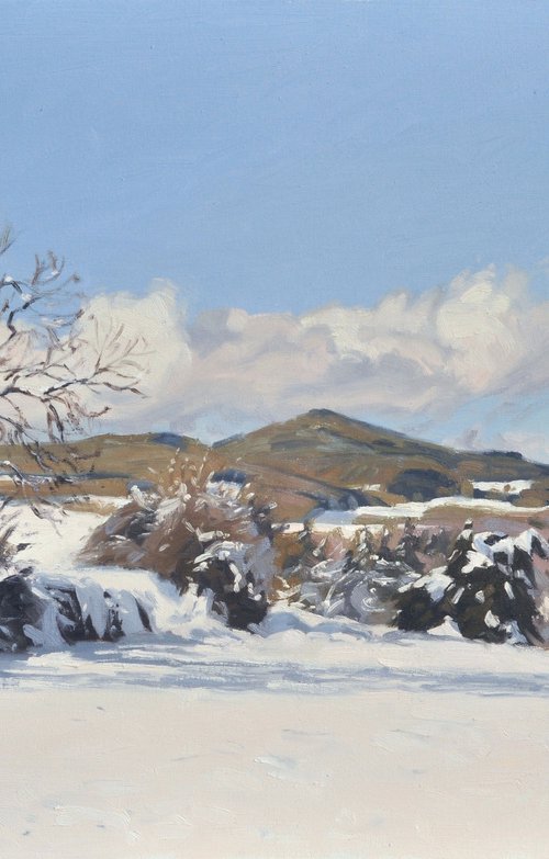 November 16, snow in Saint Vincent by ANNE BAUDEQUIN