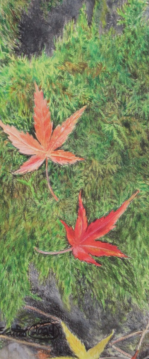 Fallen Leaves On A Mossy Rock by Nina Elaine Thompson