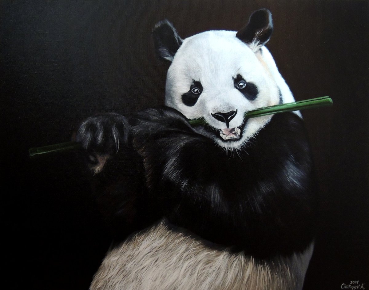 Panda with bamboo by Kakajan Charyyev