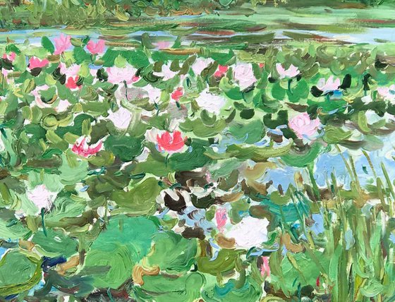 NOON ON THE LAKE, LOTUS - Water lilies, floral landscape,  waterscape, original oil painting, plein air